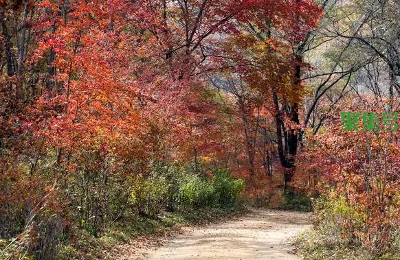 可见一斑什么意思，可见一斑的出处？