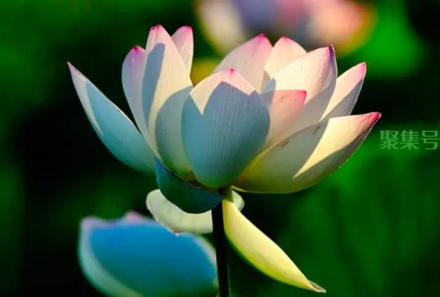 正能量智慧句子，充满正能量的句子简短励志