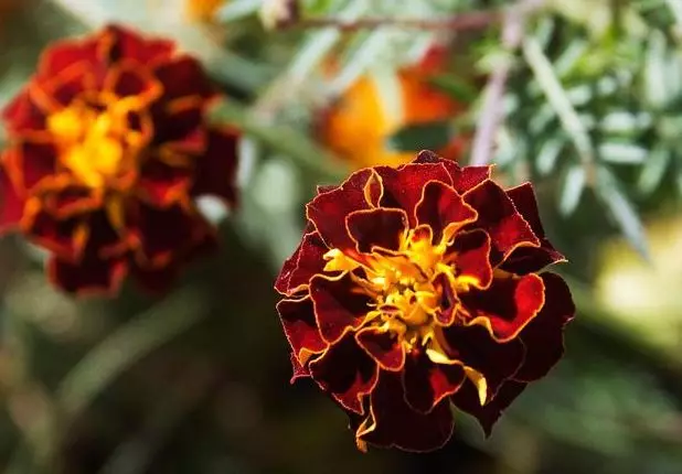 激励别人正能量的句子，激励人心的句子 正能量