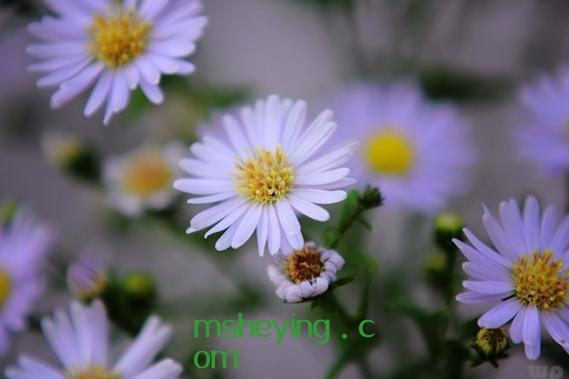 正能量句子励志语，正能量句子励志长句子