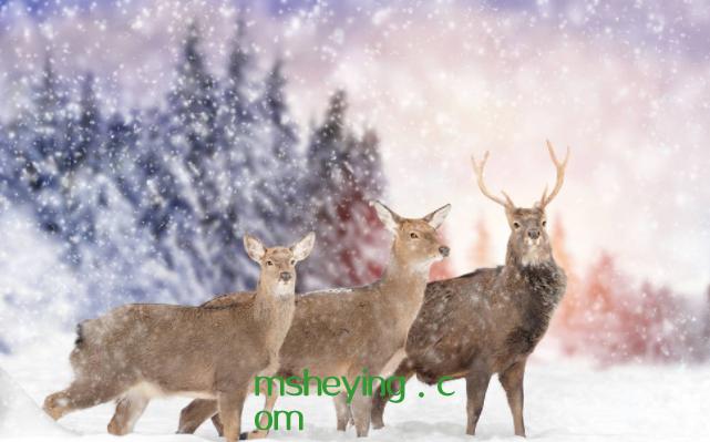 一发就会被秒赞的说说，发说说秒赞的句子