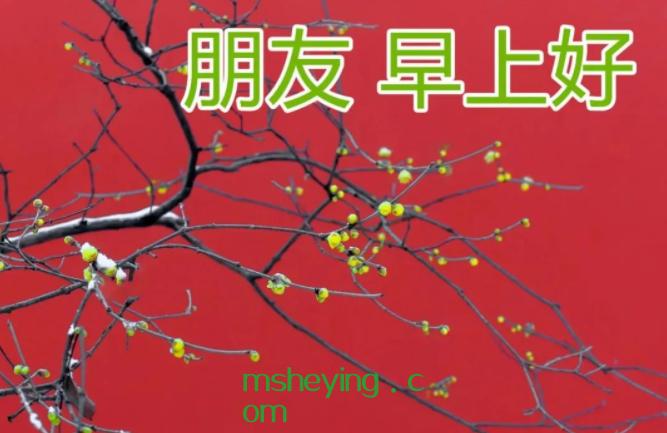 赞心灵鸡汤的句子，触动心灵的鸡汤说说