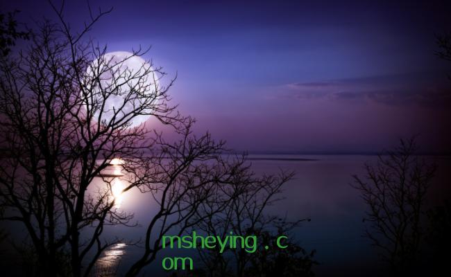 十五夜望月古诗意思译文，十五夜望月原文及翻译