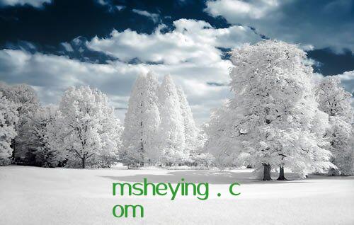 黑松镇原著最后的真相