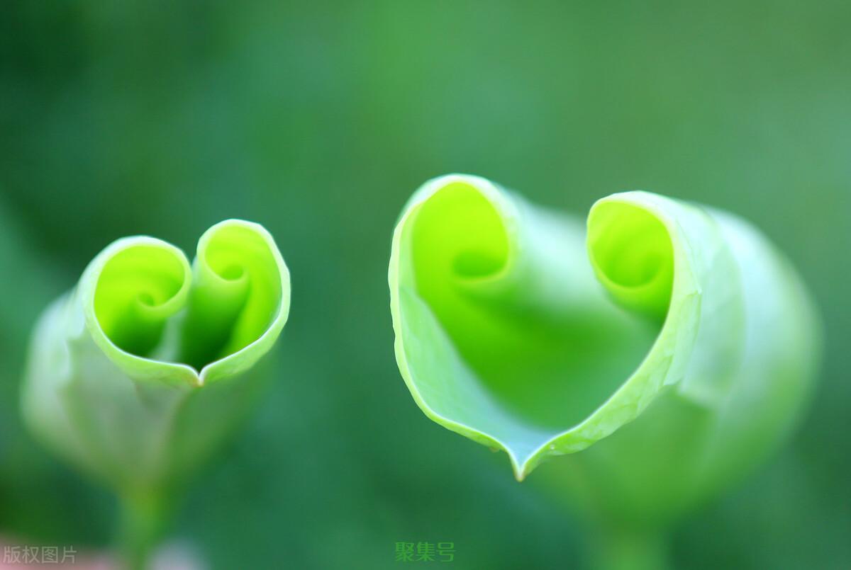 奶茶梗的梗是什么意思，秋天你的第一杯奶茶是什么意思