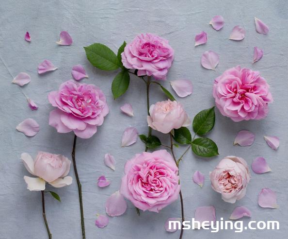 春意款款,岁月缓缓 春天文案 适合发朋友圈的夏天文案