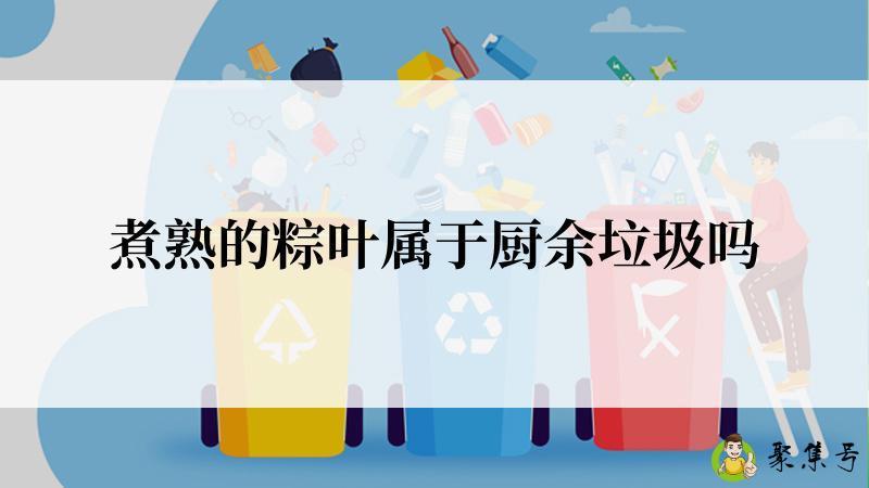 煮熟的粽叶属于厨余垃圾吗