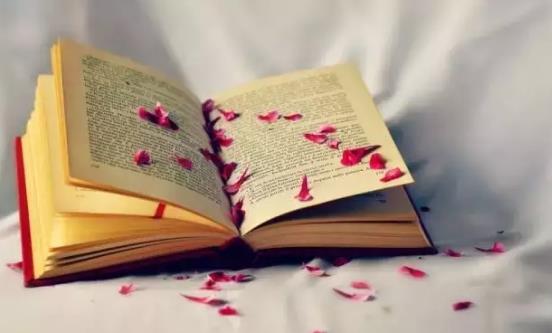 书籍脏了怎样去除污渍_日常怎样正确保存纸质书籍