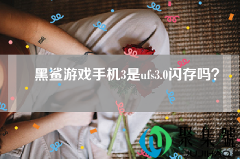 黑鲨游戏手机3是ufs3.0闪存吗（黑鲨3闪存多少）