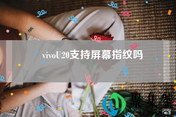 vivoU20支持屏幕指纹吗