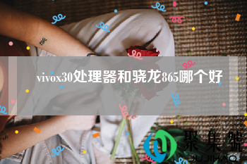 vivox30处理器和骁龙865哪个好？