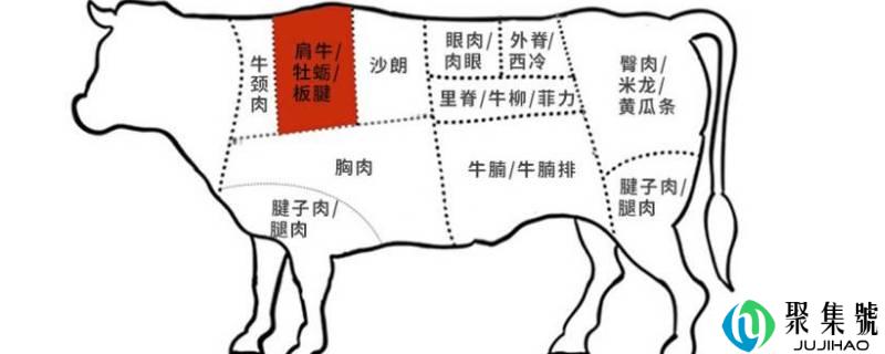 牛牡蛎肉是牛哪个部位