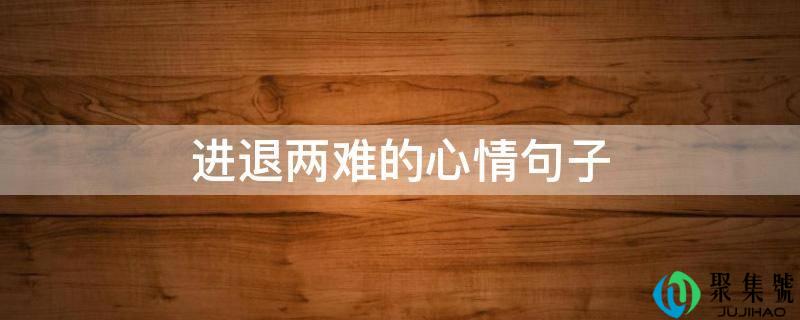 进退两难的表情句子