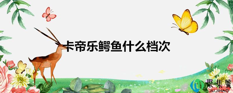 卡帝乐鳄鱼什么层次