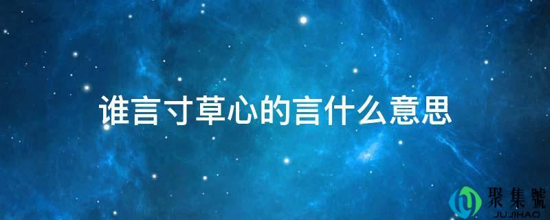 谁言寸草心的言什么意思