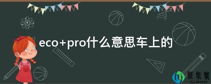 eco pro什么意思车上的