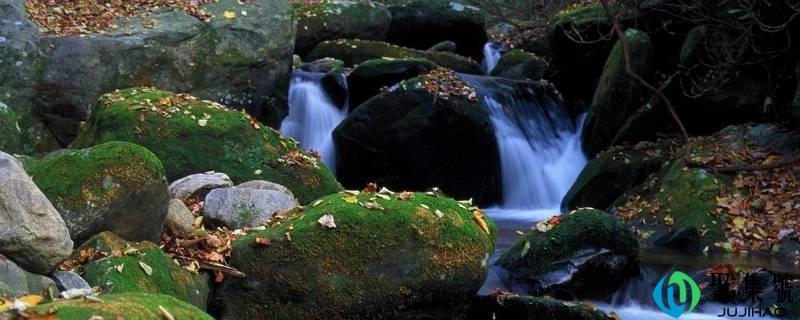 大天然中哪些工具是蓝色的