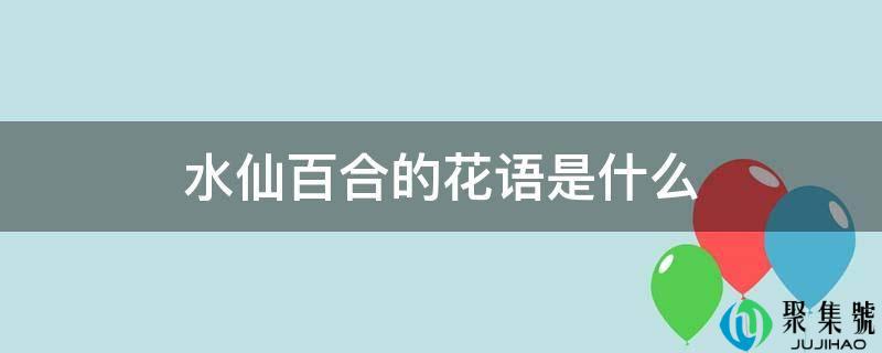 水仙百合的花语是什么