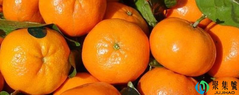 橘子有哪些品种