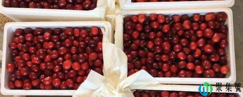 邮寄樱桃怎么保鲜