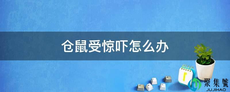 仓鼠吃惊吓怎么办