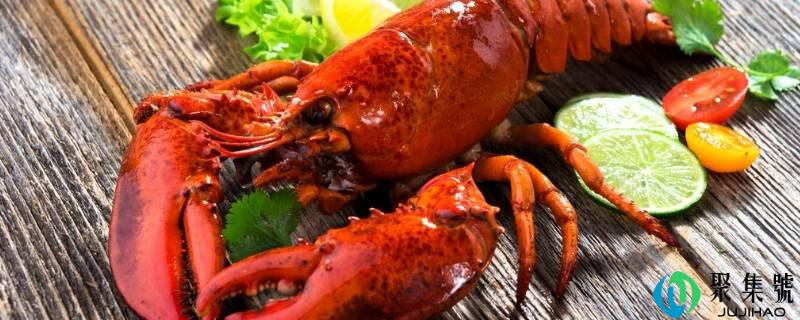 死了的波龙怎么保鲜