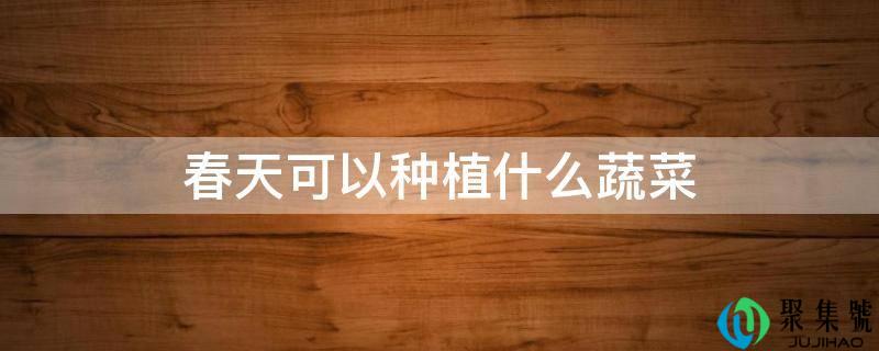 春天能够种植什么蔬菜