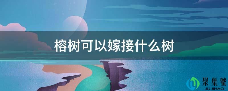 榕树能够嫁接什么树