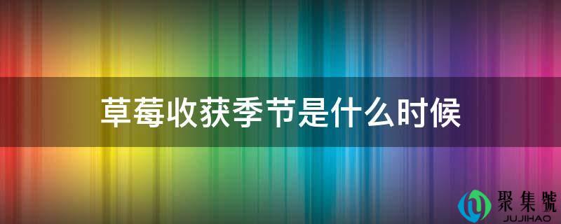 草莓收成季节是什么时候