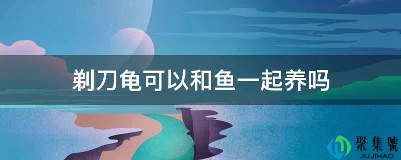 剃刀龟能够和鱼一路养吗