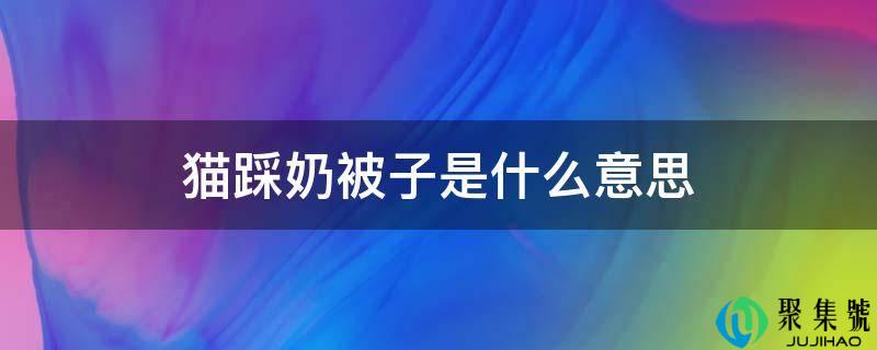 猫踩奶被子是什么意思