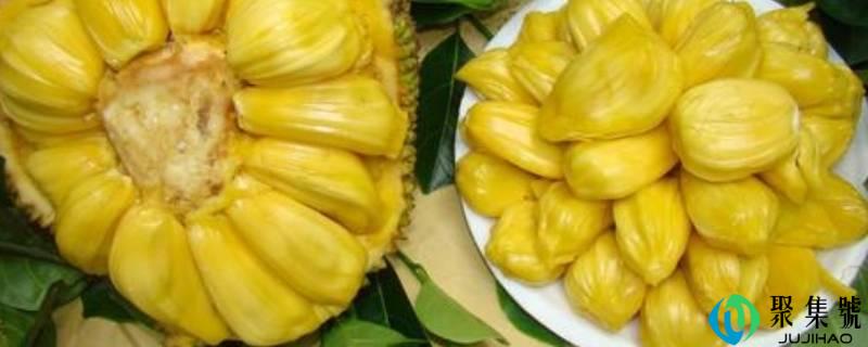 如何的菠萝蜜肉才算坏了