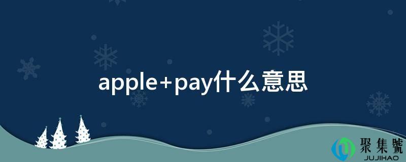 apple pay什么意思