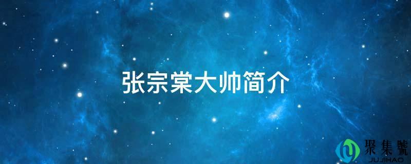 张宗棠大帅简介