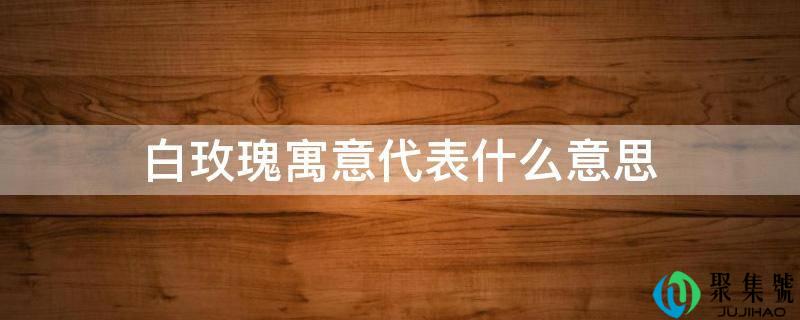 白玫瑰寓意代表什么意思