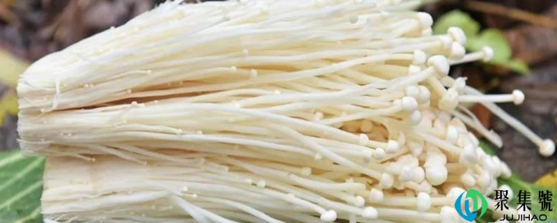 金针菇放冰箱一个月还能吃么