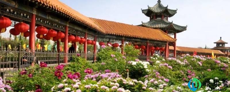 详细阅读:菏泽为什么被称为全国之中 菏泽为什么被称为全国之中