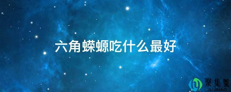 六角蝾螈吃什么更好