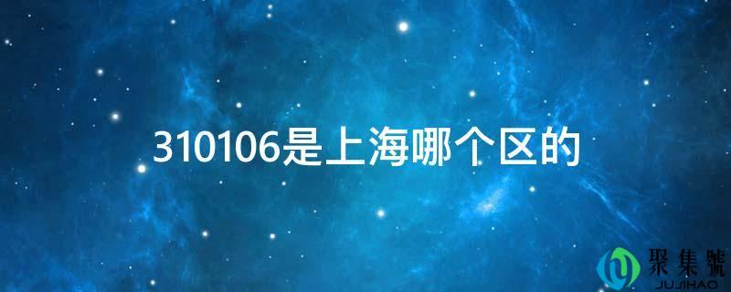 310106是上海哪个区的