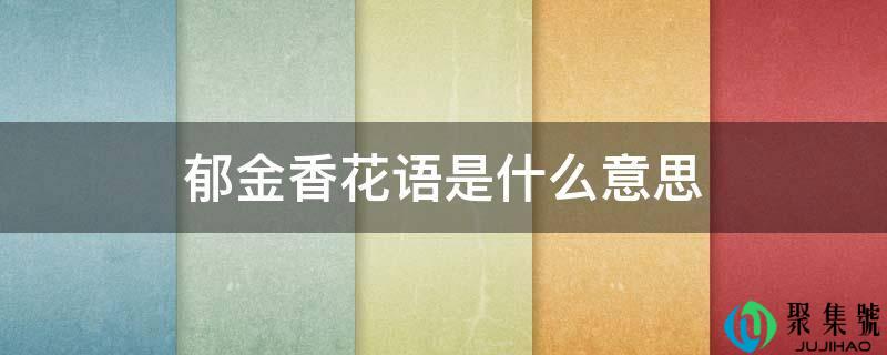 郁金香花语是什么意思