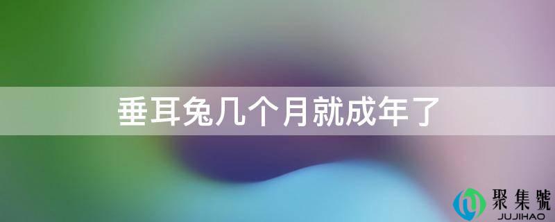 垂耳兔几个月就成年了