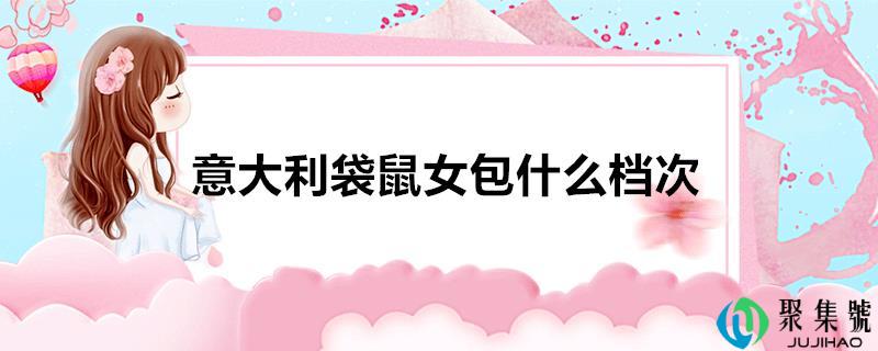 意大利袋鼠女包什么层次