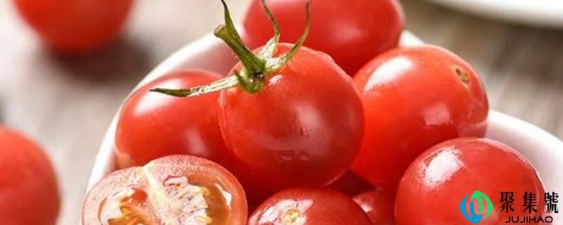 千禧和小番茄有什么区别