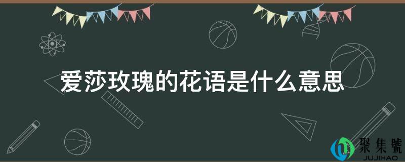 爱莎玫瑰的花语是什么意思