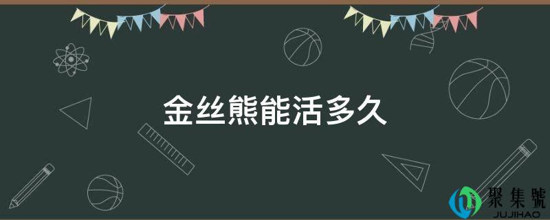 金丝熊能活多久