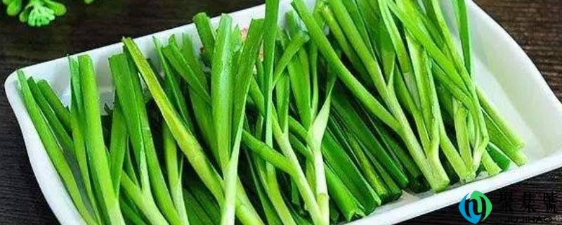 韭菜能够怎么做着吃