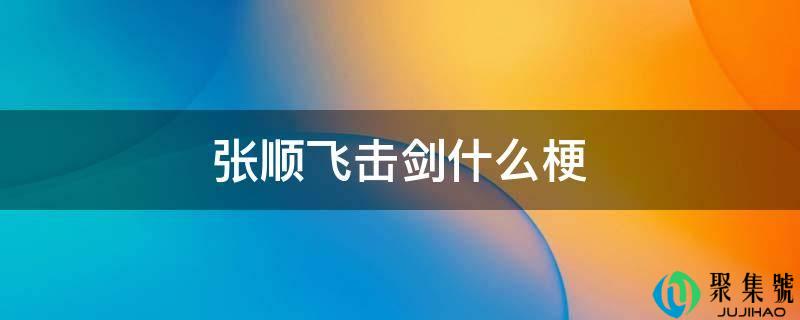 张顺飞击剑什么梗