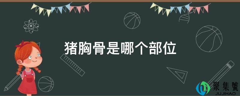 猪胸骨是哪个部位