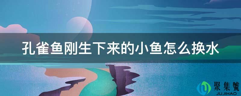 孔雀鱼刚生下来的小鱼怎么换水