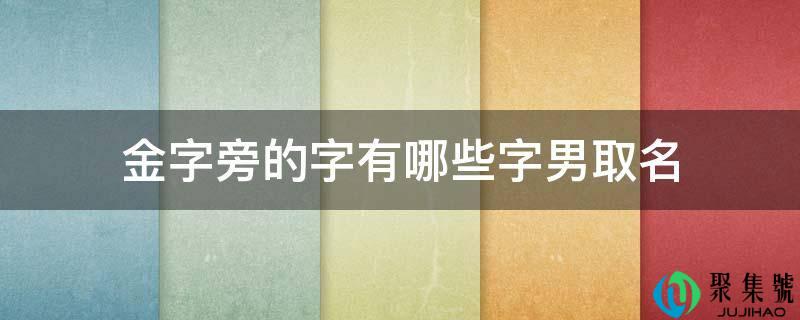 金字旁的字有哪些字男取名